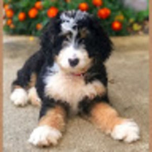 Meet your Posher, Evan